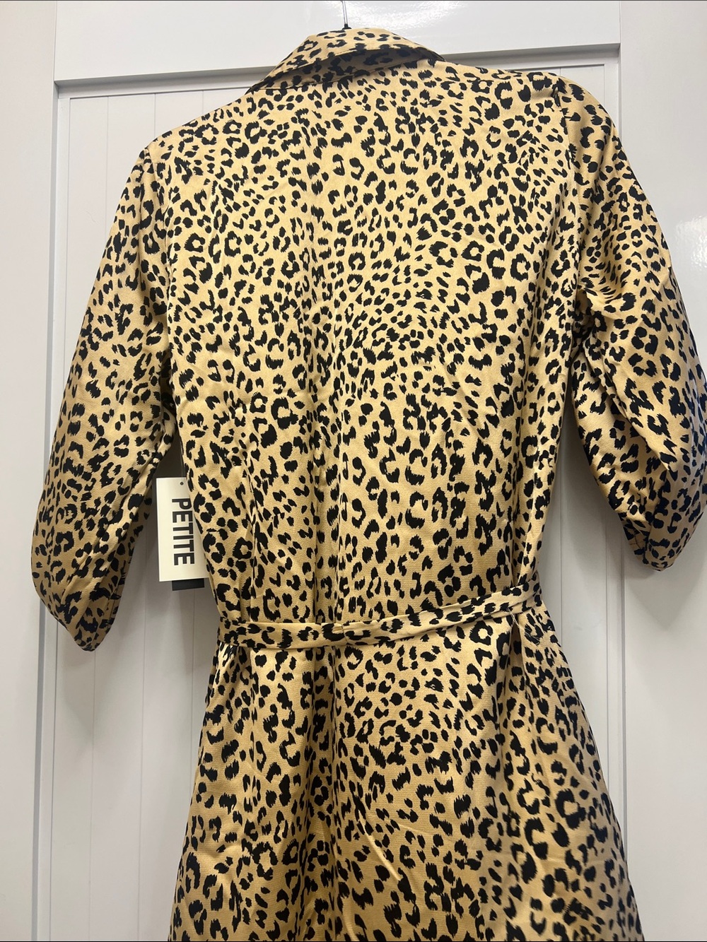 Sara Michelle Leopard Print Belted Dress - Tan and Black
